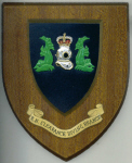 Crest/wall plaque RN CLEARANCE DIVER