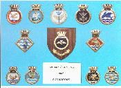 FLEET AIR ARM Hand Painted Crest