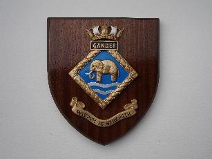 HAND PAINTED SHIP'S CREST - for exercise